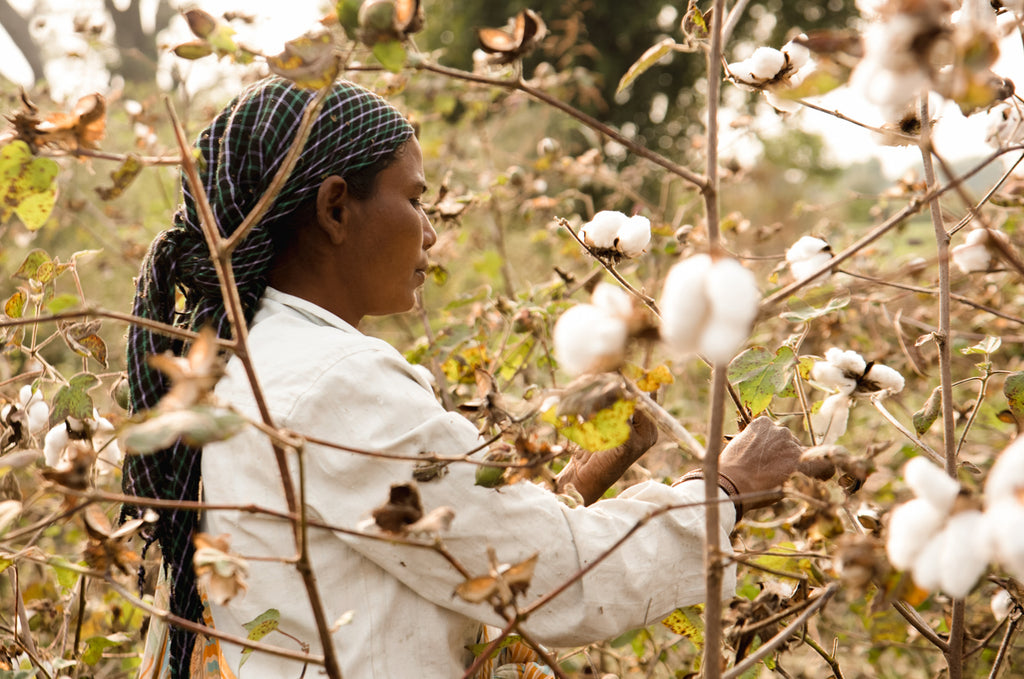 Why is organic cotton better than conventional cotton?